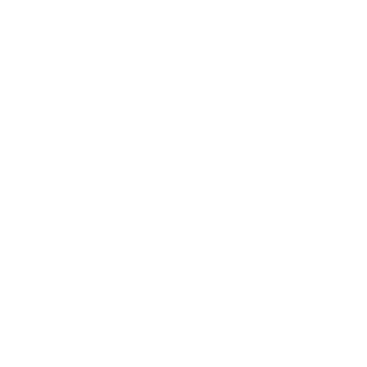 CAMP 25